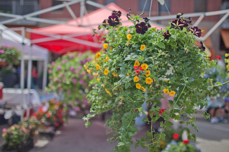 farmers market iowa