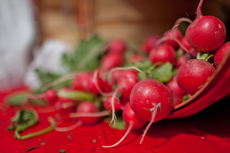 Des Moines Farmers Market