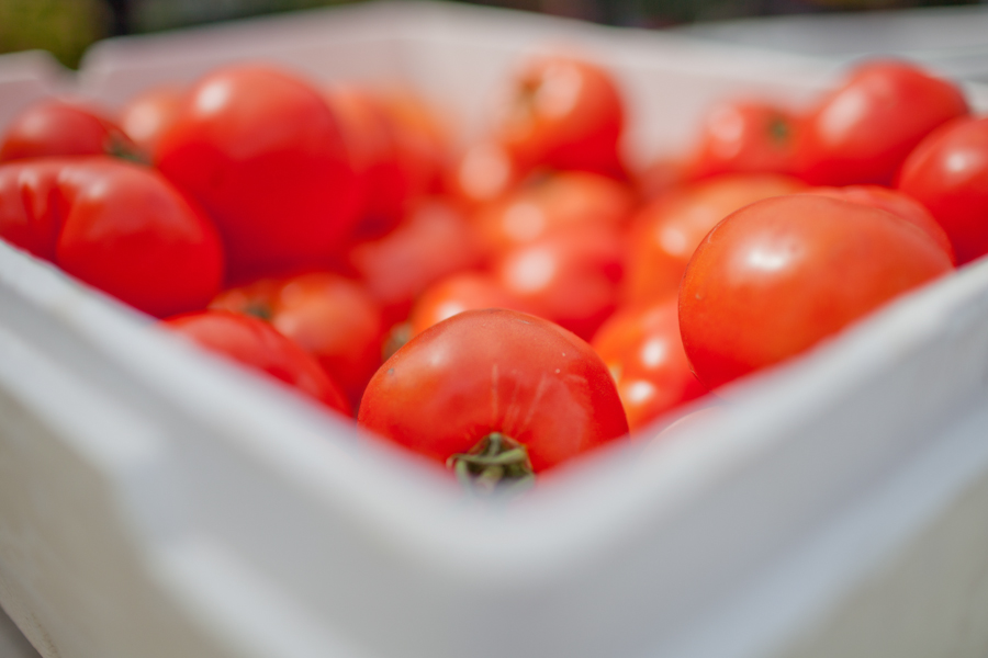 Des Moines Farmers Market