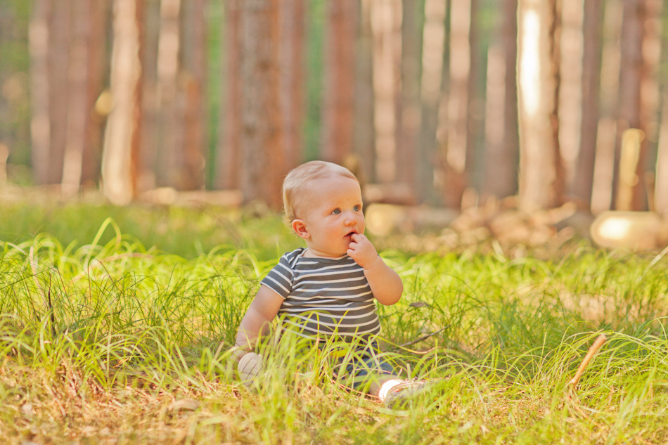 des moines iowa family portrait photographer zts photo