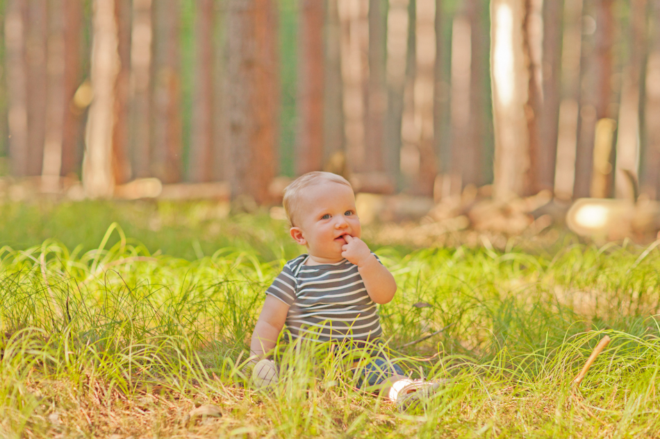 des moines iowa family portrait photographer zts photo