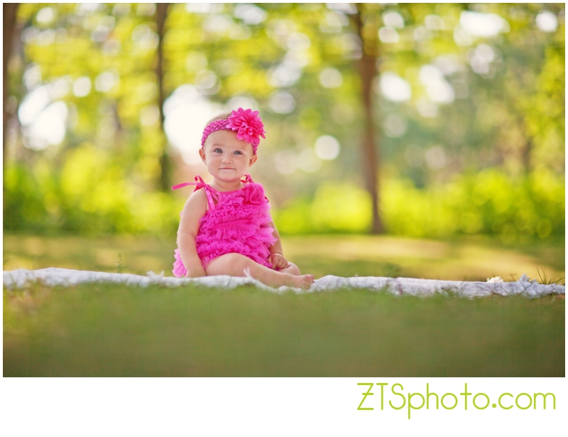 des moines iowa family portrait photographers zts photo