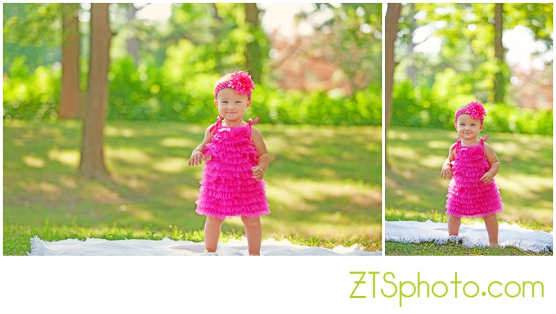 des moines iowa family portrait photographers zts photo