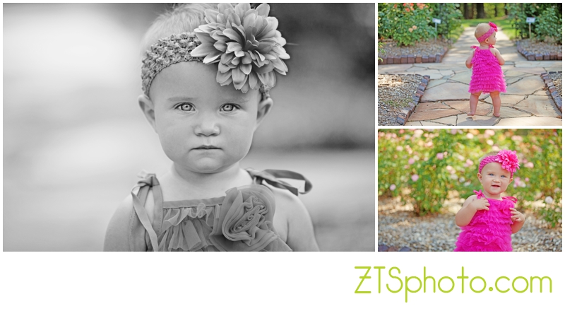 des moines iowa family portrait photographers zts photo