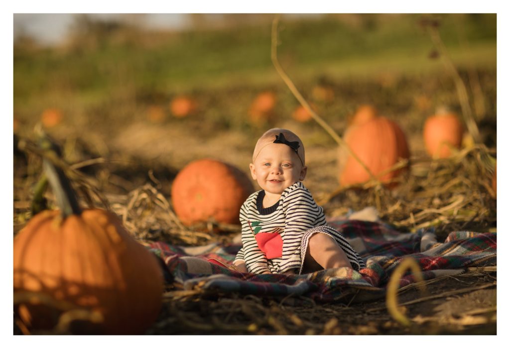 center grove orchard